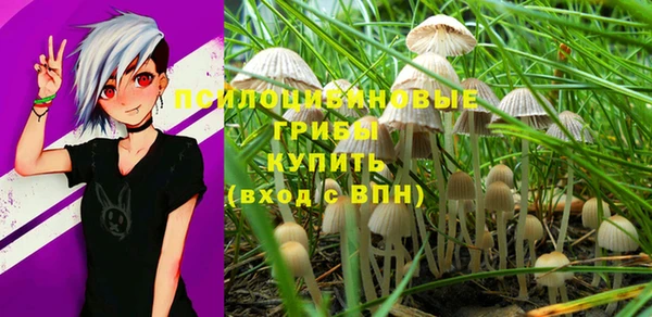 гашишное масло Алексеевка