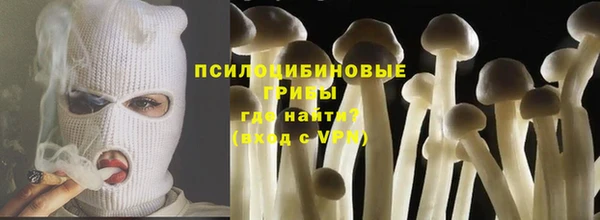 2c-b Алексин