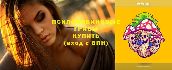 2c-b Алексин