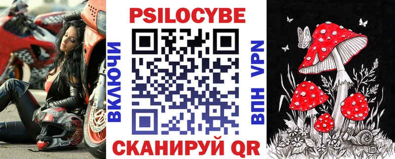 купить закладку  Канаш  Псилоцибиновые грибы Psilocybine cubensis 