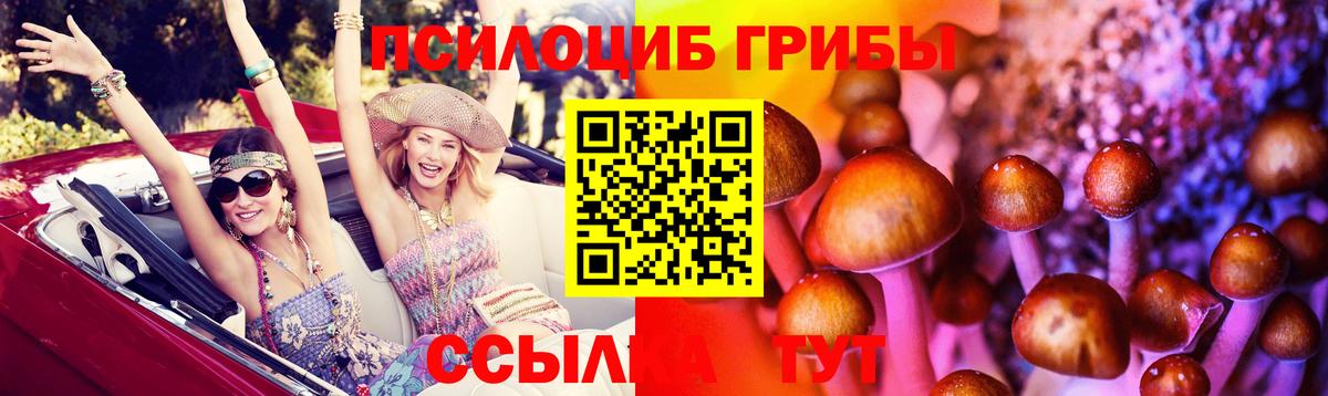 Псилоцибиновые грибы ЛСД Канаш