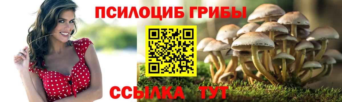 Псилоцибиновые грибы ЛСД  купить закладку  Канаш 